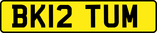 BK12TUM