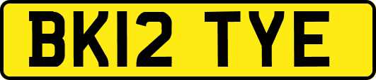 BK12TYE