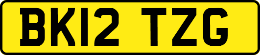 BK12TZG