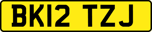 BK12TZJ