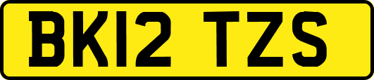 BK12TZS