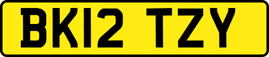BK12TZY
