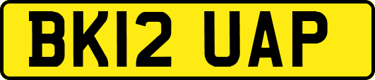 BK12UAP