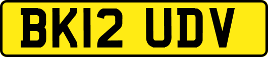 BK12UDV