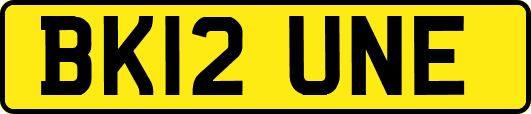 BK12UNE