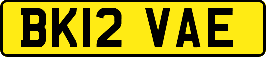 BK12VAE
