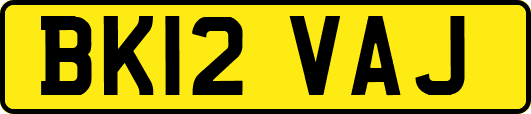 BK12VAJ