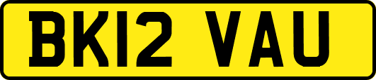 BK12VAU