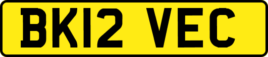 BK12VEC