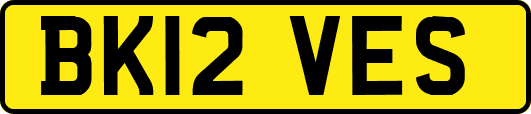 BK12VES