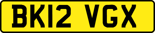 BK12VGX