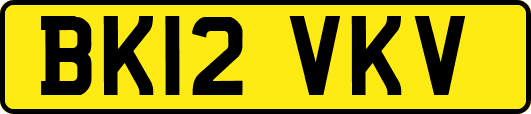 BK12VKV