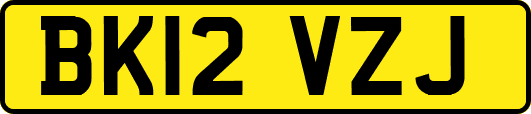BK12VZJ