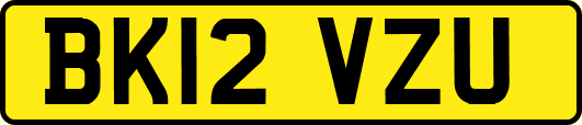 BK12VZU