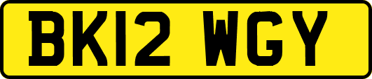 BK12WGY
