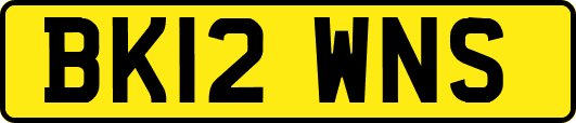 BK12WNS