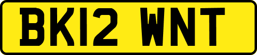 BK12WNT