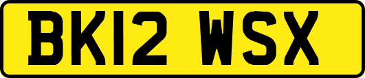 BK12WSX
