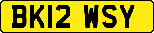 BK12WSY