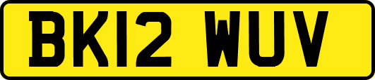 BK12WUV