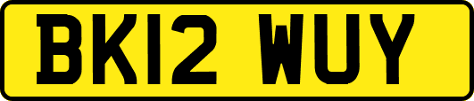 BK12WUY