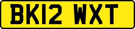 BK12WXT