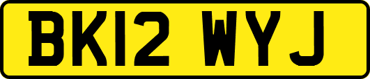 BK12WYJ