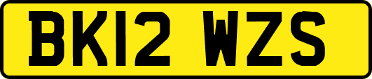 BK12WZS