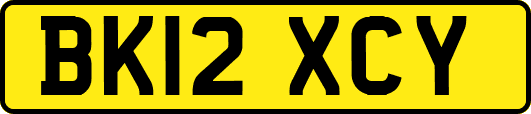 BK12XCY