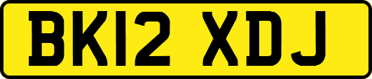 BK12XDJ