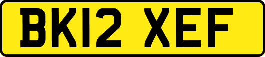BK12XEF