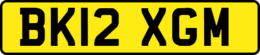 BK12XGM