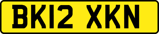 BK12XKN