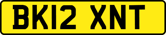 BK12XNT