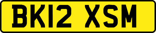 BK12XSM