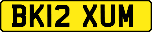 BK12XUM