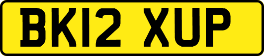 BK12XUP