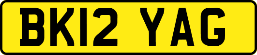 BK12YAG