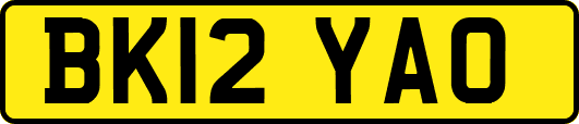 BK12YAO