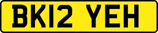 BK12YEH