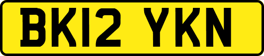 BK12YKN