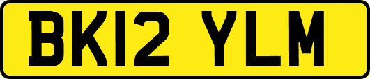 BK12YLM