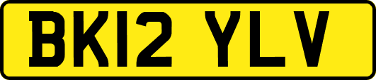 BK12YLV