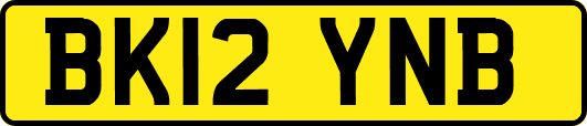 BK12YNB