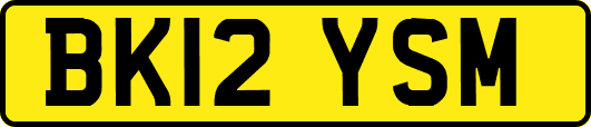 BK12YSM