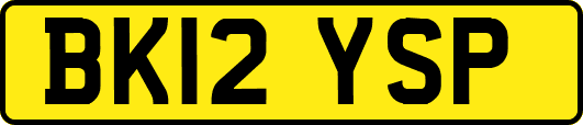 BK12YSP