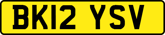 BK12YSV