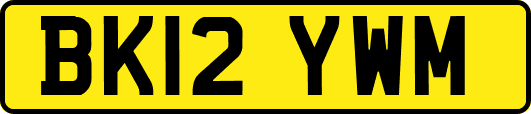 BK12YWM