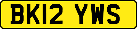 BK12YWS
