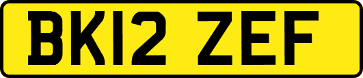 BK12ZEF